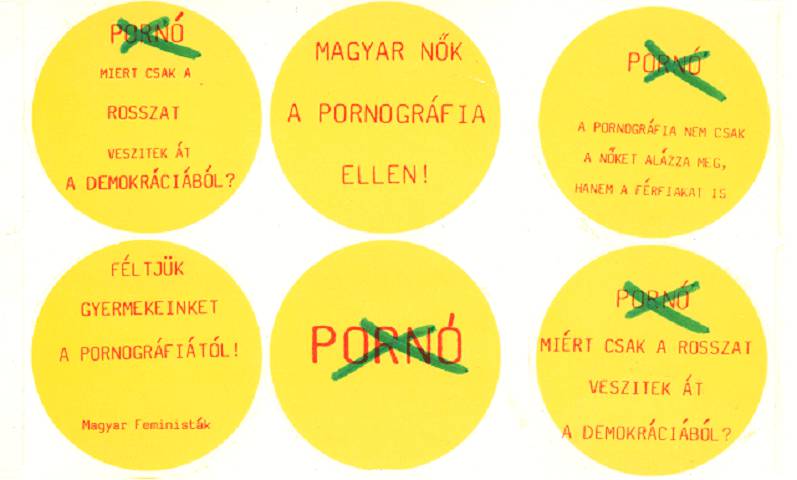 Programnyilatkozat